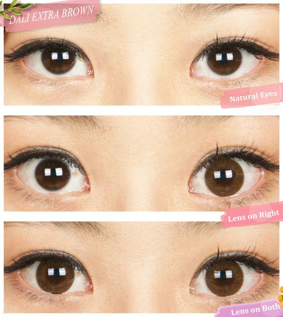 brown circle lens review
